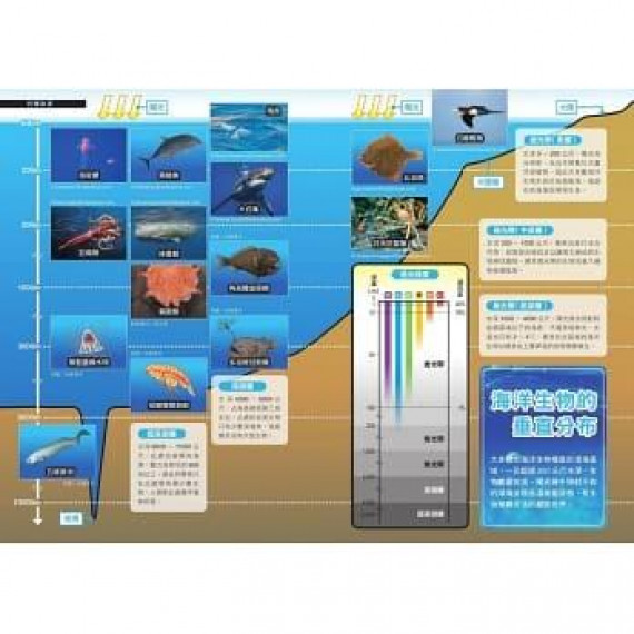 哆啦A夢科學任意門14：海底迷宮探測號