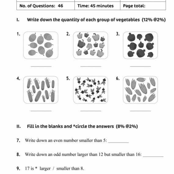 High Performance Math Quizzes and Mock Papers